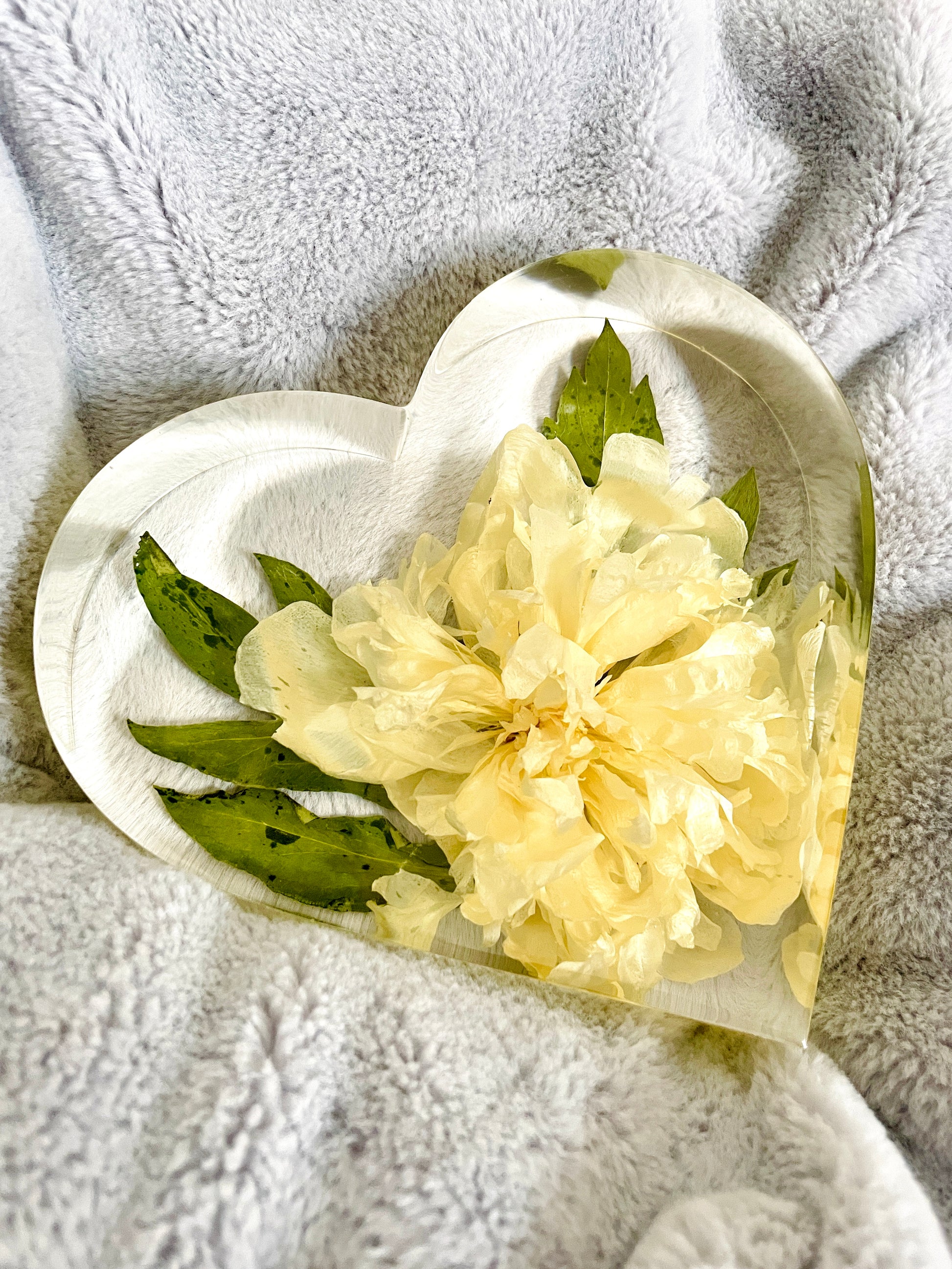 white peony flower preserved in a heart shape resin display piece